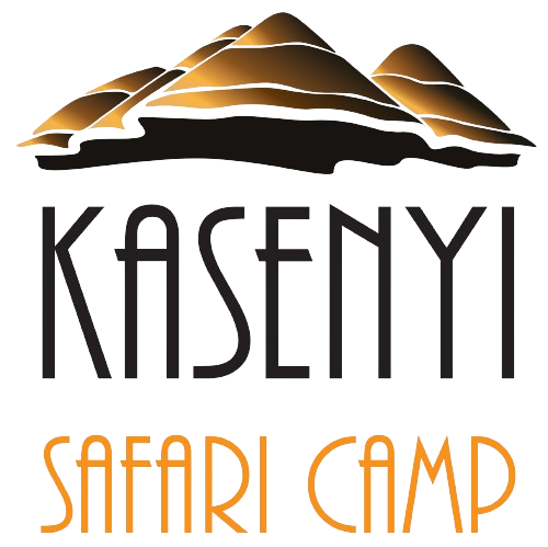 Kasenyi Safari Camp