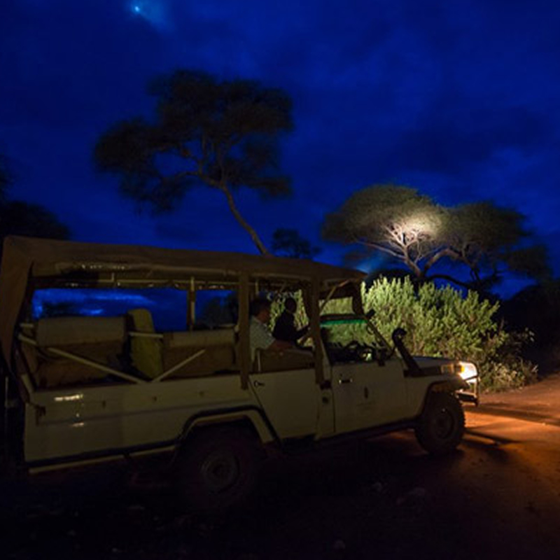 Night Game Drives